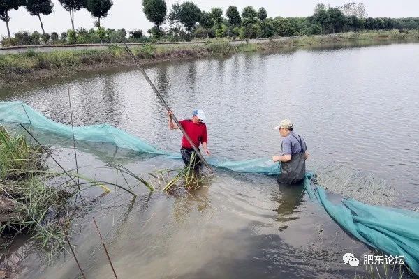 众兴水库最新动态，迈向可持续生态发展的步伐坚定前行