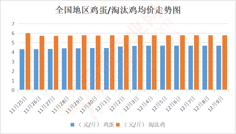 陕西淘汰鸡最新价格动态分析