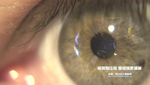 瞳孔最新视频全集，深度探索与独特魅力