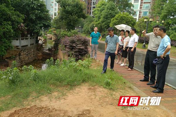 衡阳湘水明珠最新房价，市场走势与购房指南