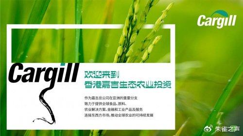 大成农药最新消息，创新研发引领未来，助力农业可持续发展