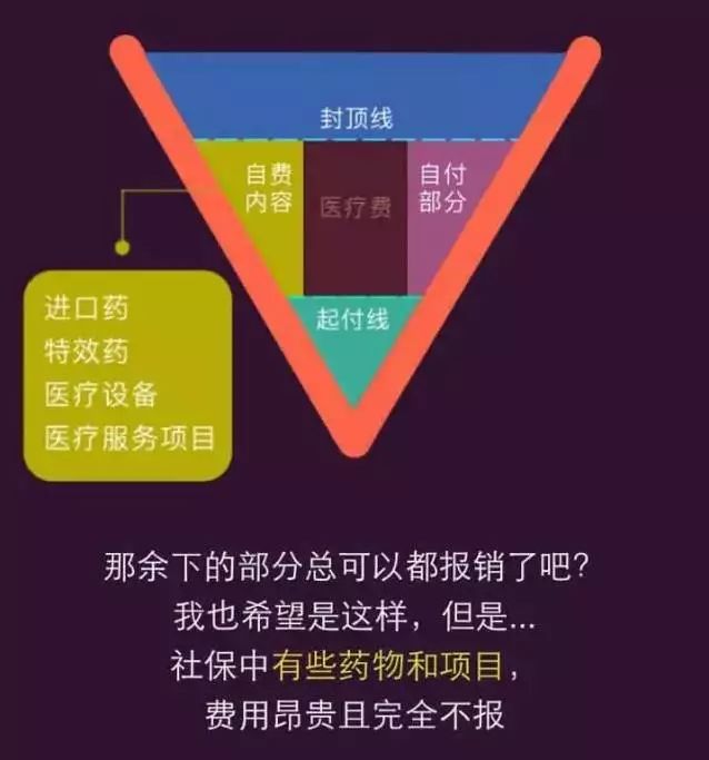 河北医保最新报销比例，深度解读与实际应用