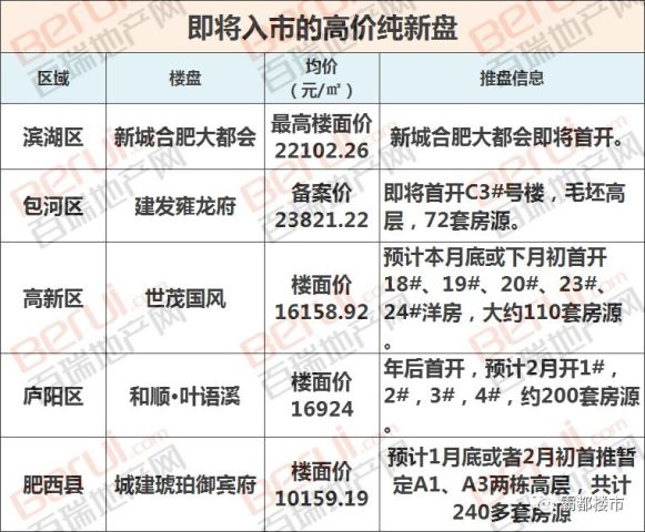 世纪荣廷小学最新信息概览