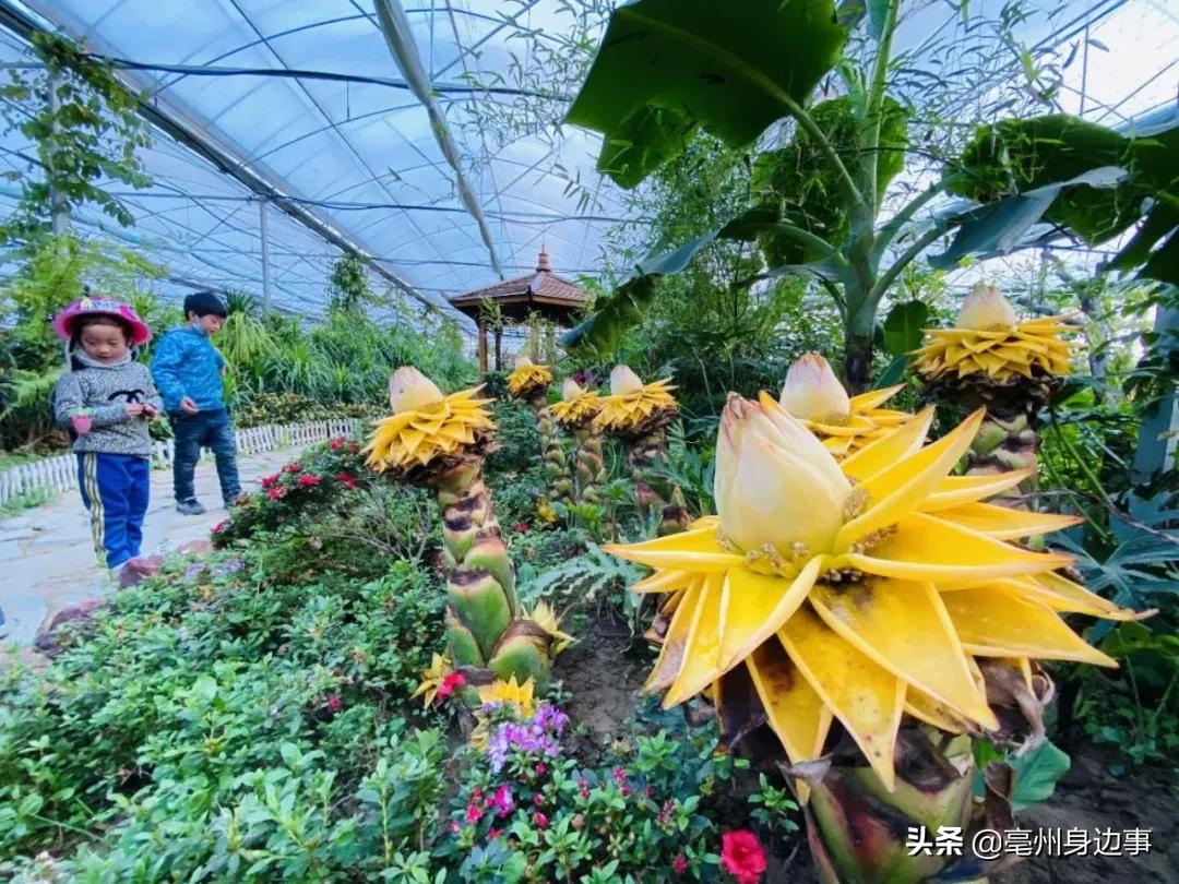 探索亳州，最新地图揭示城市新面貌